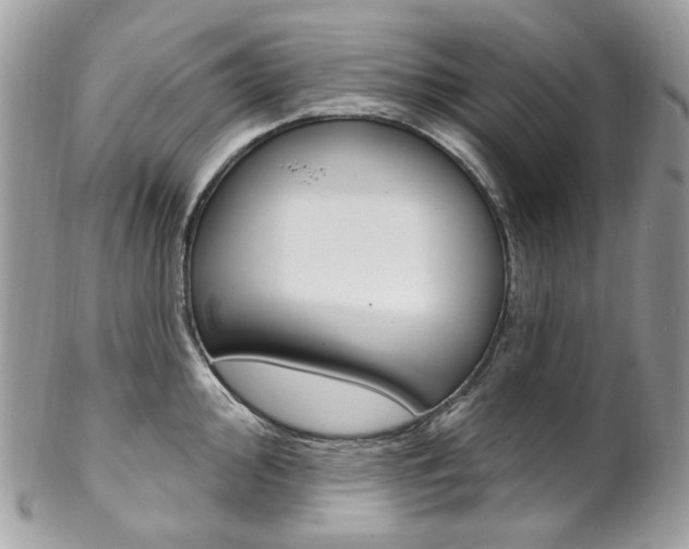 X0000102851000200808181043