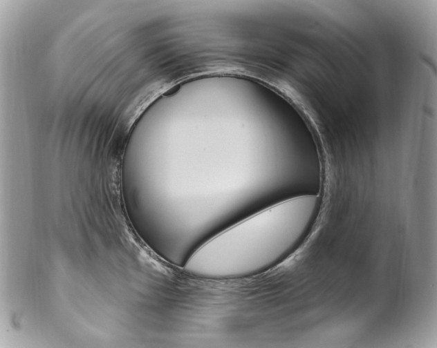 X0000102851001200808181043