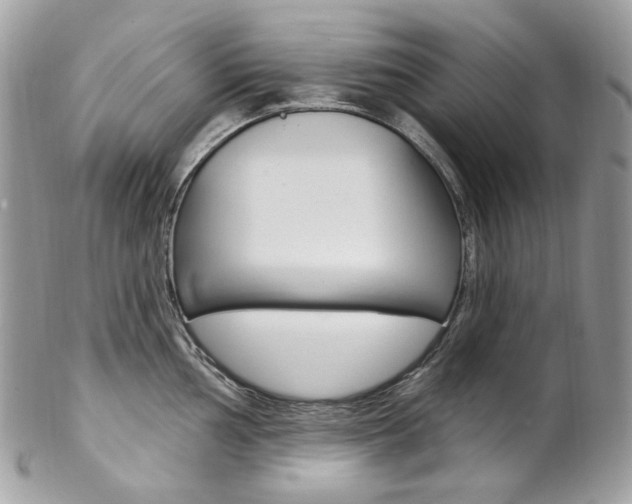 X0000102851002200808181043