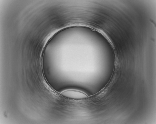 X0000102851004200808181043