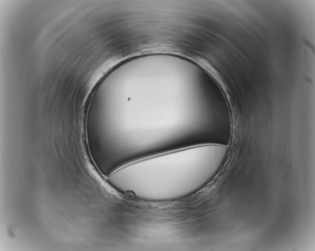 X0000102851005200808181043