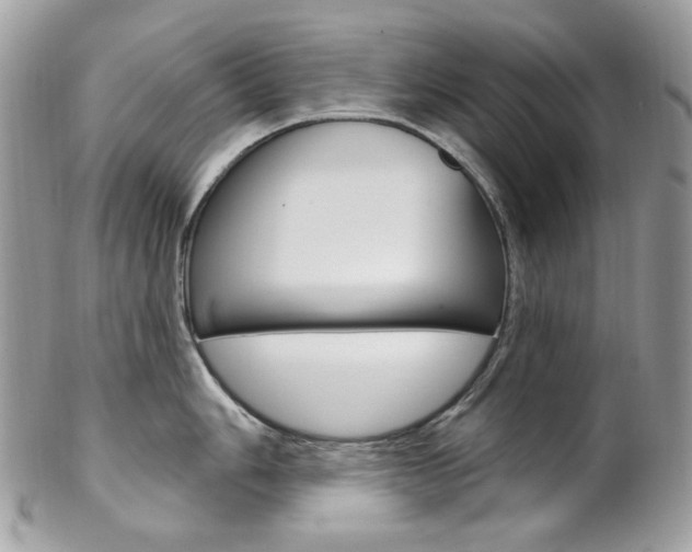 X0000102851006200808181043