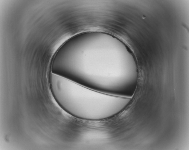 X0000102851007200808181043