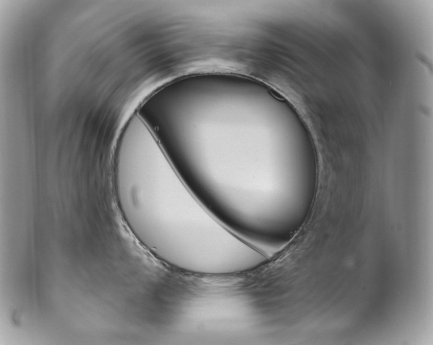 X0000102851008200808181043