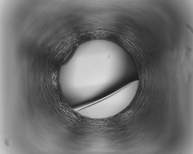 X0000102851010200808181042