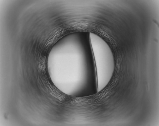 X0000102851012200808181042