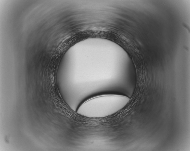 X0000102851013200808181042