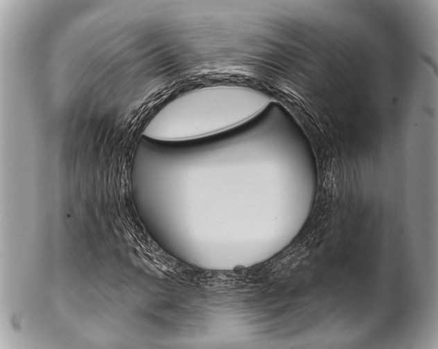 X0000102851014200808181042