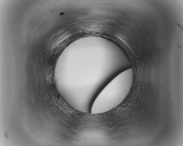 X0000102851015200808181042