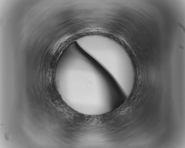 X0000102851016200808181042