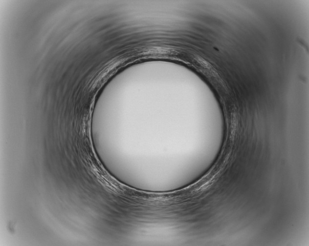 X0000102851017200808181042
