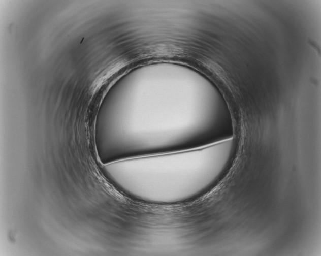 X0000102851018200808181042