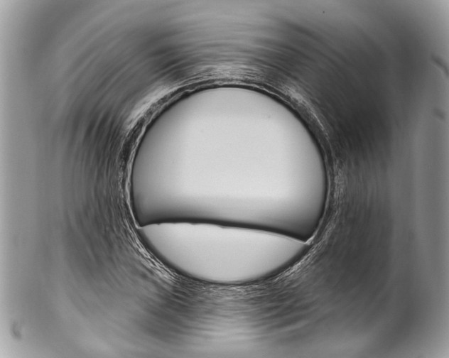 X0000102851019200808181042