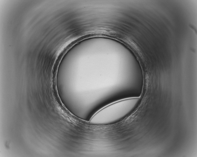 X0000102851020200808181042
