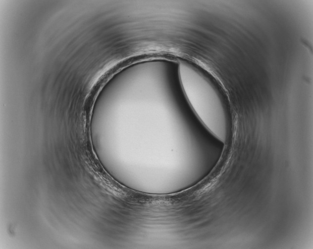 X0000102851021200808181042