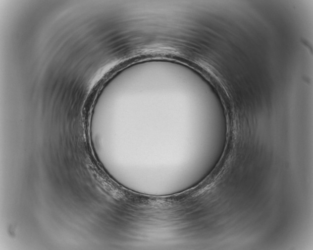 X0000102851022200808181042