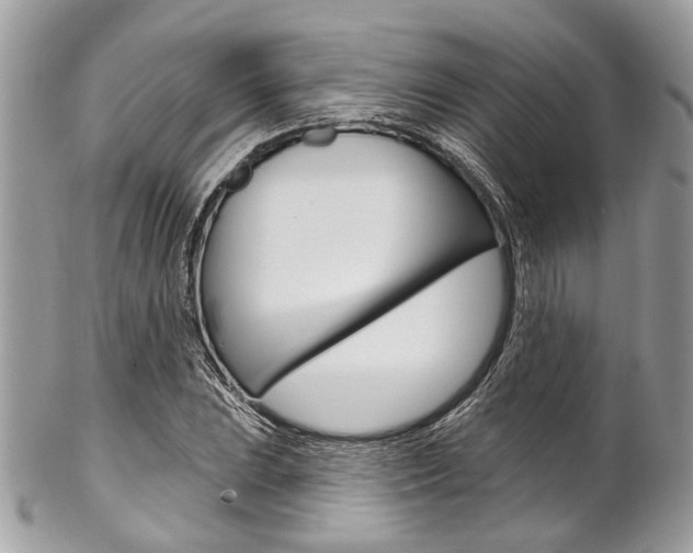 X0000102851023200808181042
