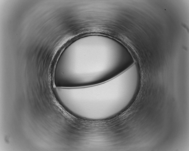 X0000102851024200808181042