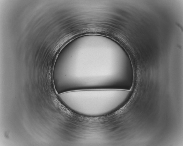 X0000102851025200808181042