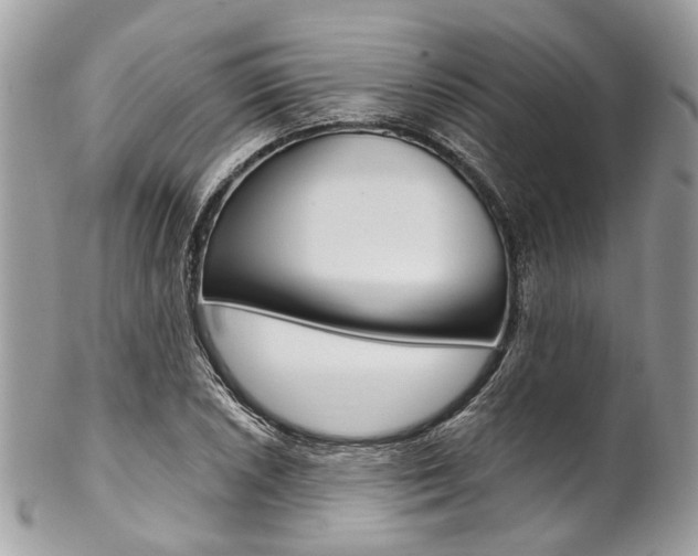 X0000102851026200808181042