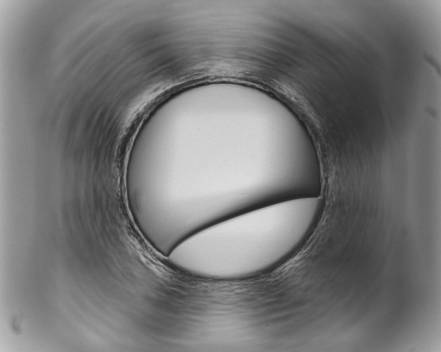 X0000102851027200808181042