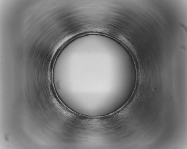 X0000102851028200808181042
