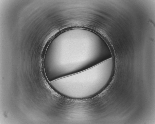 X0000102851029200808181042