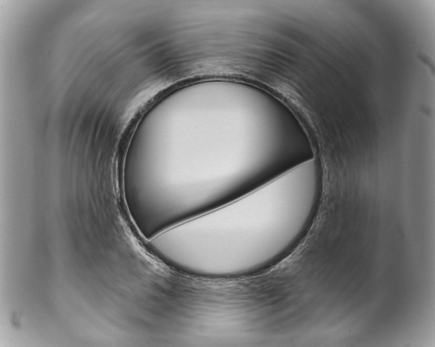 X0000102851030200808181042