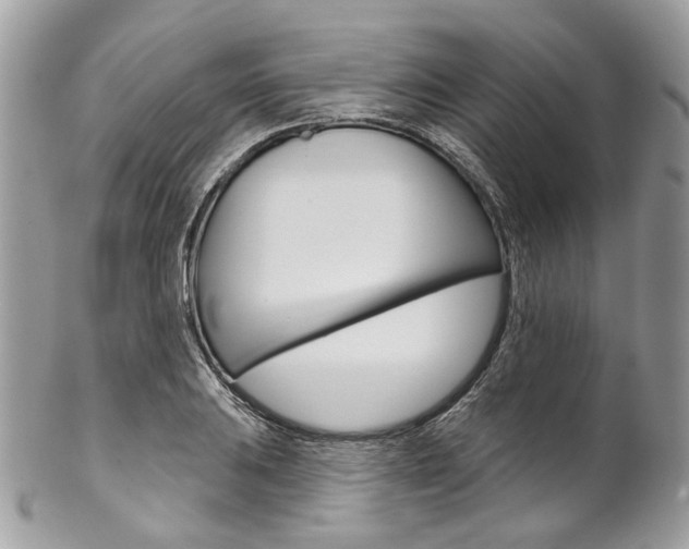 X0000102851031200808181042