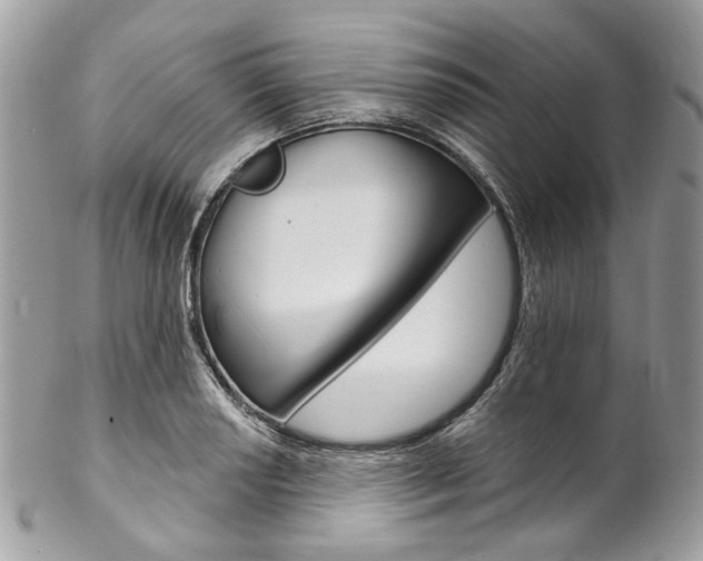 X0000102851034200808181042