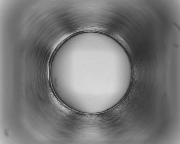 X0000102851036200808181042