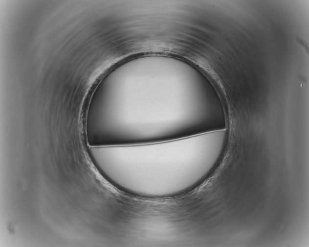 X0000102851037200808181042