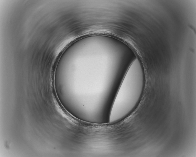 X0000102851038200808181042