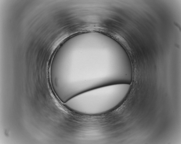 X0000102851039200808181042
