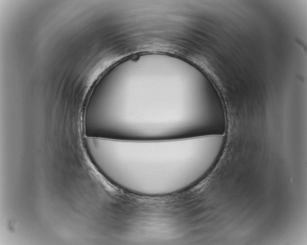 X0000102851040200808181043