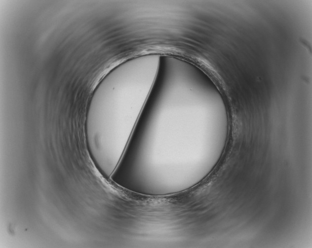 X0000102851041200808181043