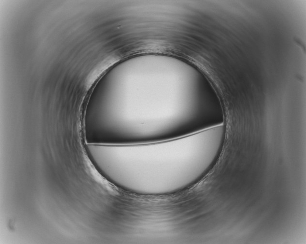 X0000102851042200808181043