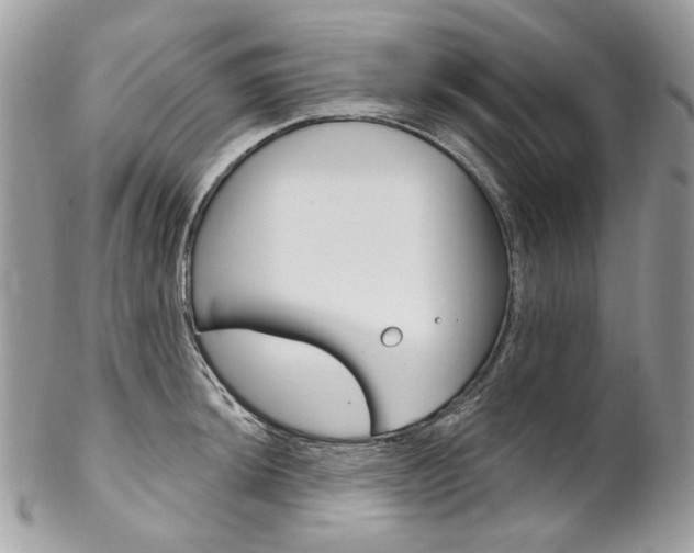 X0000102851044200808181043