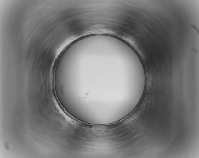 X0000102851046200808181043