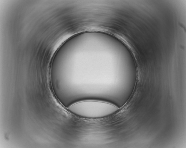 X0000102851048200808181043