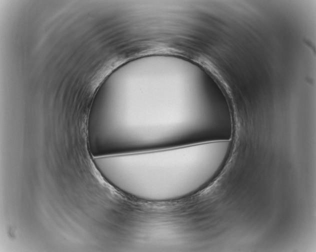X0000102851049200808181043