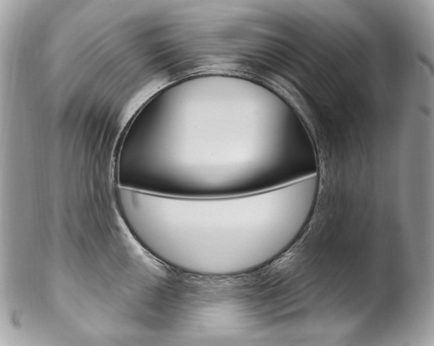 X0000102851050200808181043
