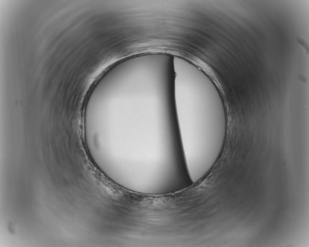 X0000102851051200808181043