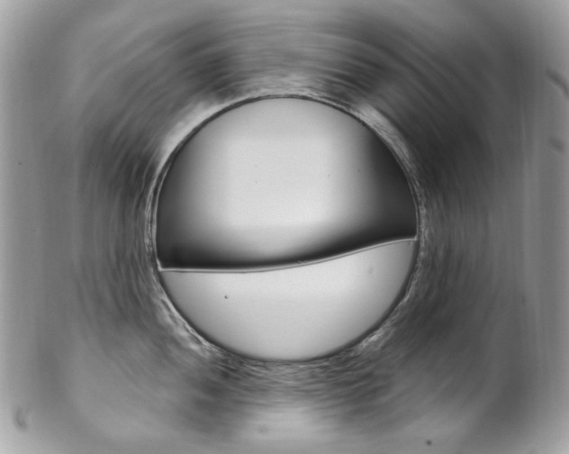 X0000102851052200808181043