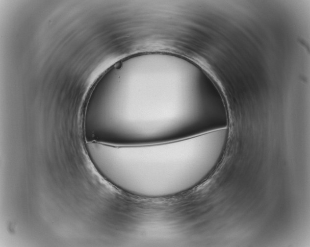 X0000102851053200808181043
