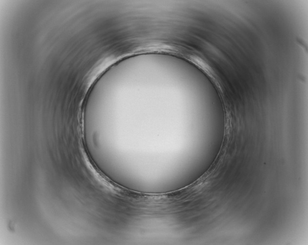 X0000102851055200808181043