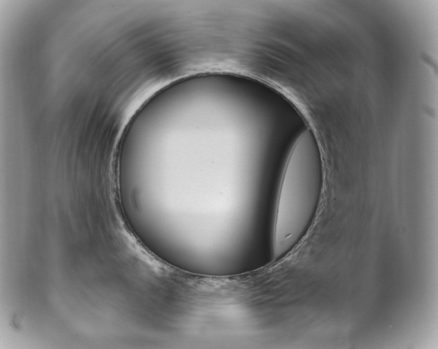 X0000102851056200808181043