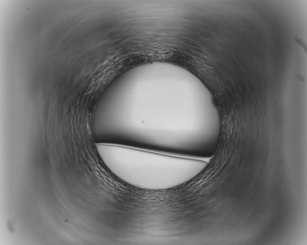 X0000102851058200808181042