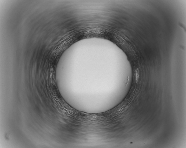 X0000102851059200808181042