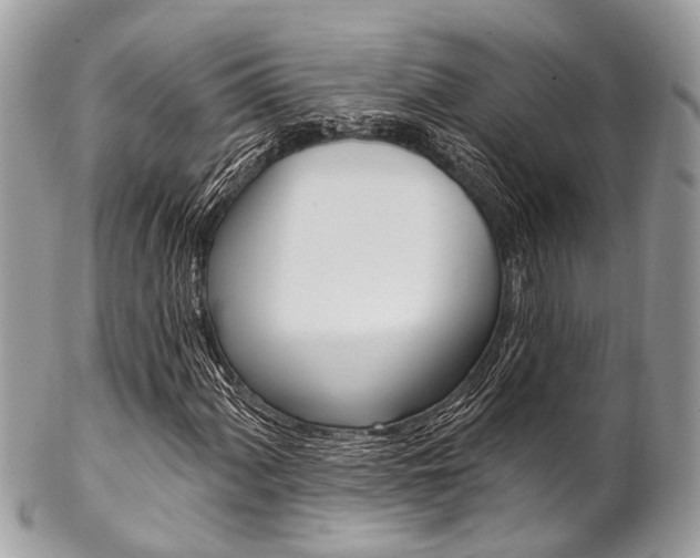 X0000102851060200808181042